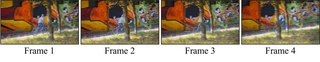 Segmentation examples with occlusion and fine boundaries.